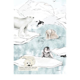 Behang Sample - Antarctica