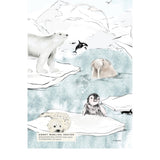 Wallpaper Sample - Antarctica Annet Weelink Design