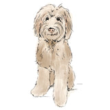 Single Wall Decal - Pet's Picnic Dog Annet Weelink Design