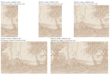Landschap Behang - Serene Glade