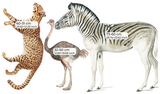 Wall Decal Set - Wildlife’s Playground