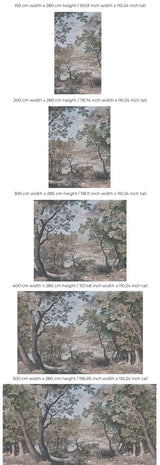 Landschap Behang - Into the Woods