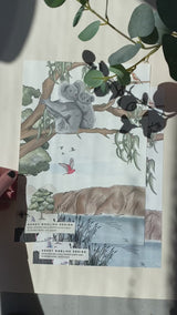 Koala Behang - Australie