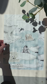 Dieren Behang - Antarctica