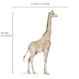 Autocollant mural séparé - Girafe Jungle Jazz