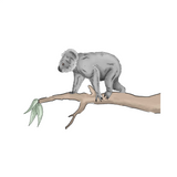 Single Wall Decal - Koala Annet Weelink Design