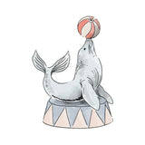 Single Wall Decal - Sea lion Annet Weelink Design