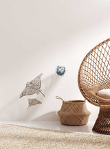 Single Wall Decal - Ray