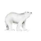 Single Wall Decal - Polar bear Annet Weelink Design