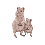 Single Wall Decal - Quokka Annet Weelink Design