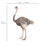 Single Wall Decal - Ostrich