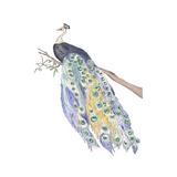 Single Wall Decal - Peacock Annet Weelink Design