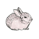 Single Wall Decal - Rabbit Annet Weelink Design