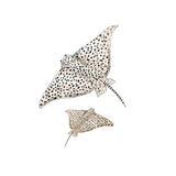 Single Wall Decal - Ray Annet Weelink Design