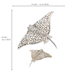 Single Wall Decal - Ray Annet Weelink Design