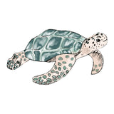 Single Wall Decal - Turtle