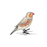 Single Wall Decal - Finch Annet Weelink Design