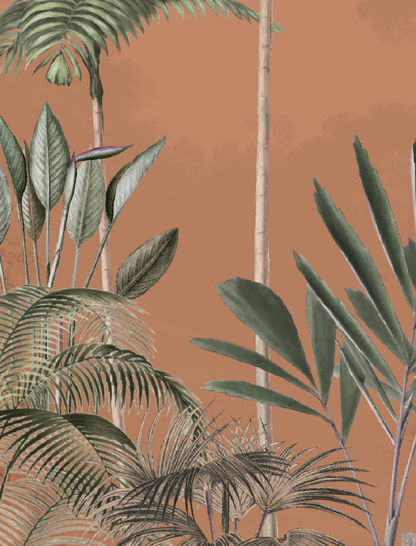 Shopping tips for the Tropical Wilderness ginger wallpaper