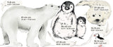 Wall Decal Set - Antarctica