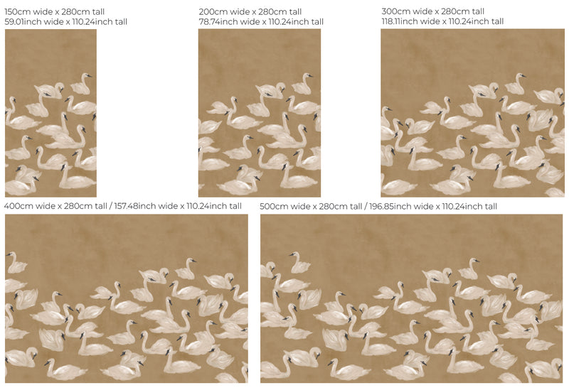 Bird Wallpaper - DANCING SWAN earth