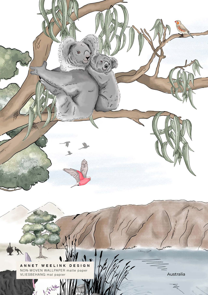 Koala Wallpaper - Australia
