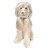 Wandsticker - Pet's Picnic Hond