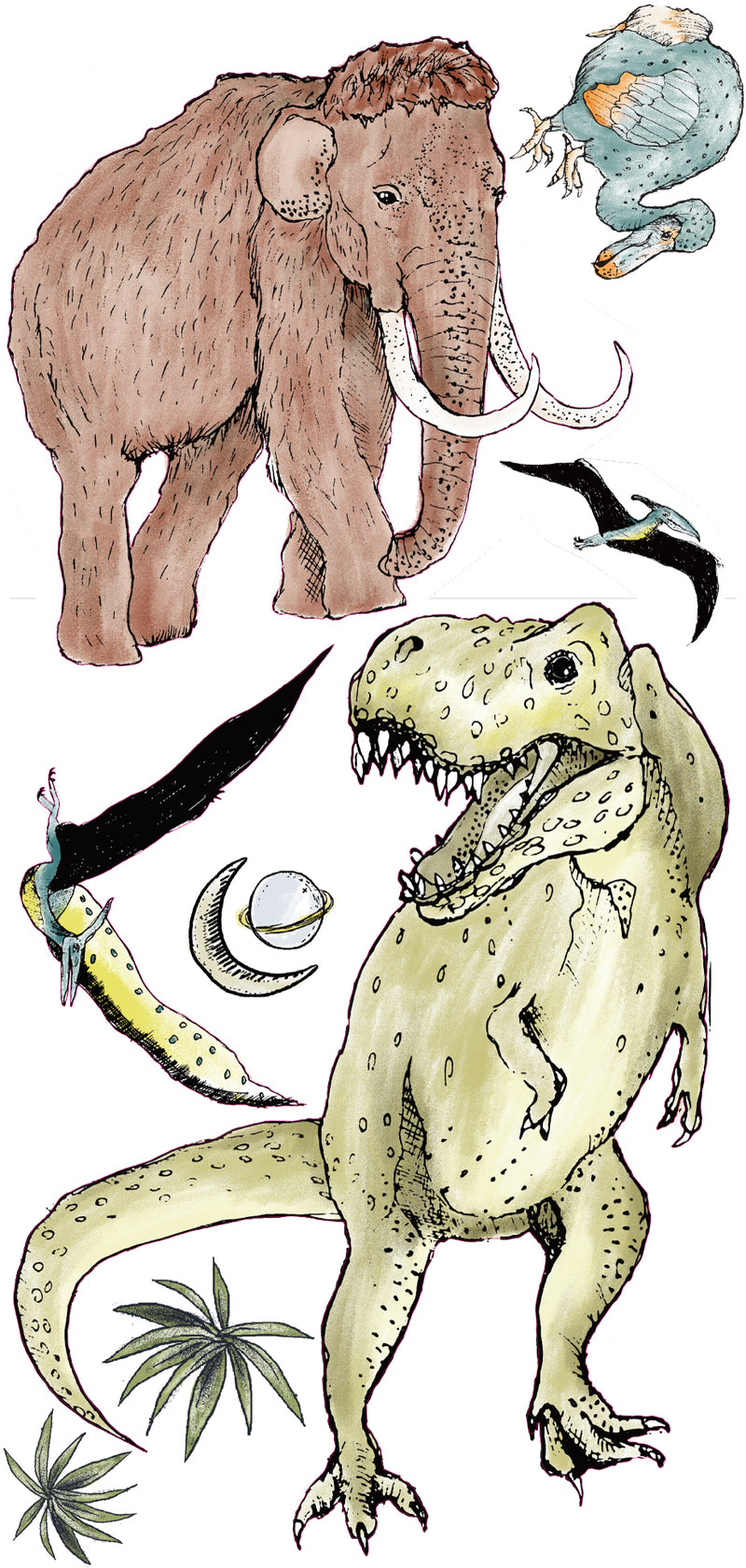 Wall Decal Set - Prehistoric