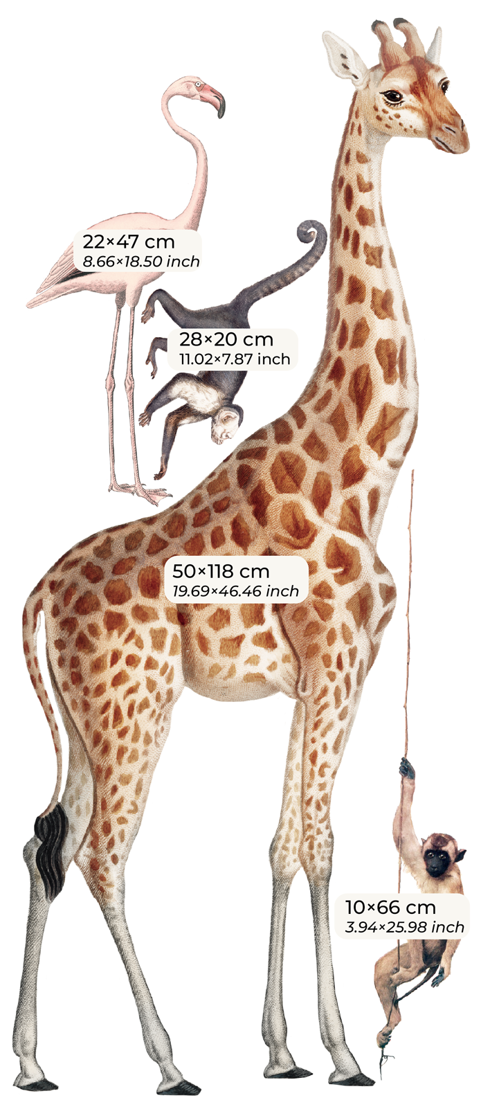 Wall Decal Set - Wildlife’s Playground