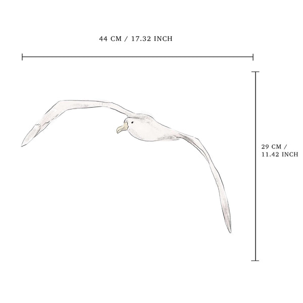 Etiqueta de la pared separada - Albatros