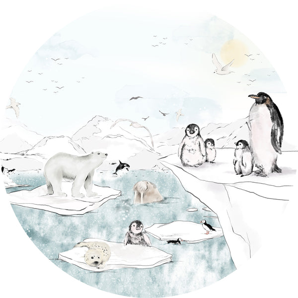 Sticker mural rond - Antarctique