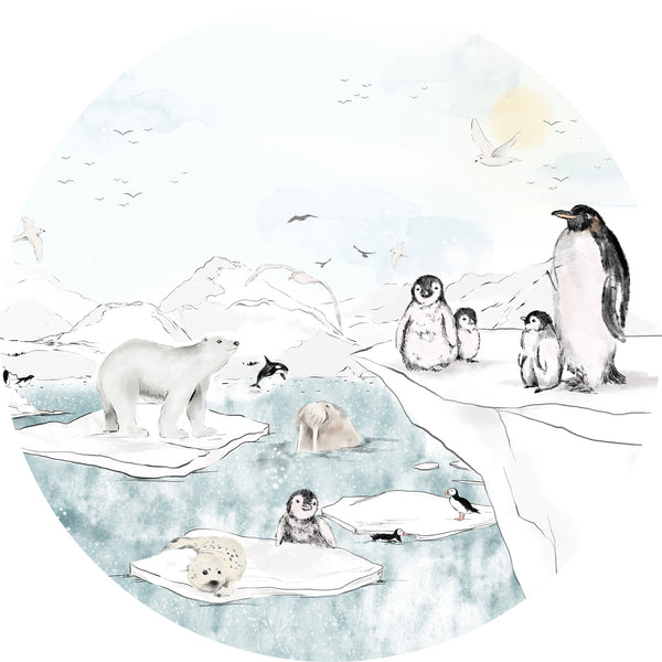 Round wall sticker - Antarctica