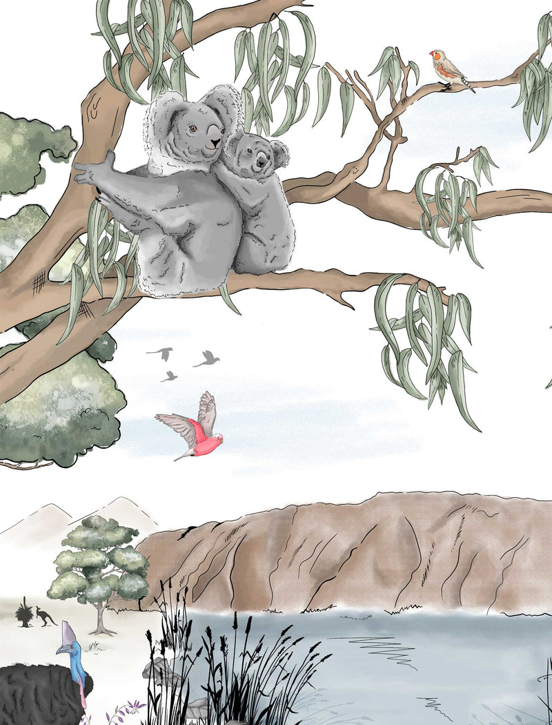 Papier Peint Koala - AUSTRALIE