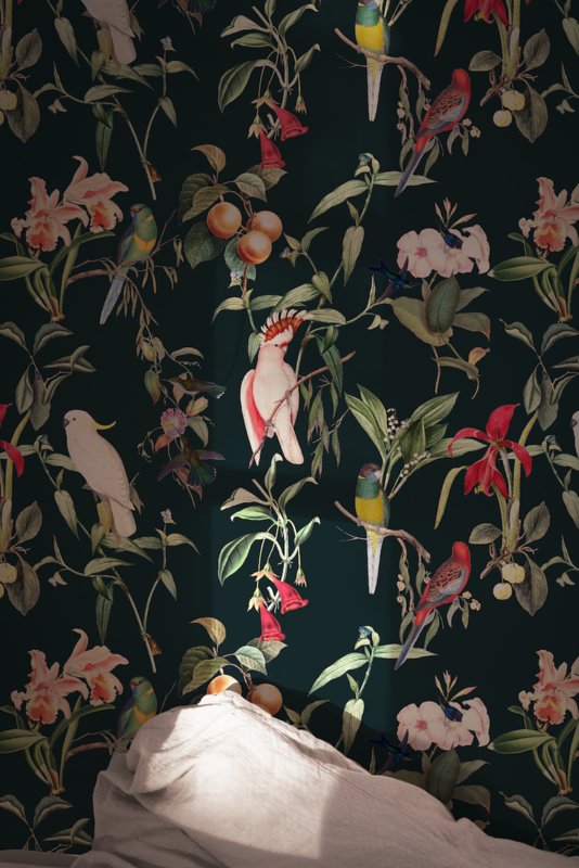 Wallpaper - BIRDS OF PARADISE - deep teal