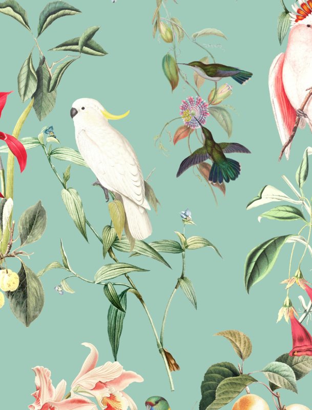 Wallpaper - BIRDS OF PARADISE - sea mint