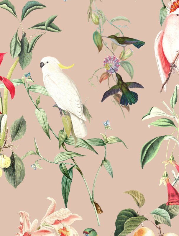 Behang - BIRDS OF PARADSE - peach blush