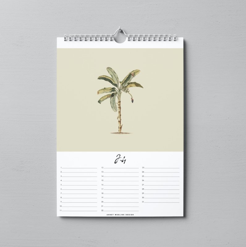 Birthday Calendar - INTO THE JUNGLE - A4 - Perpetual