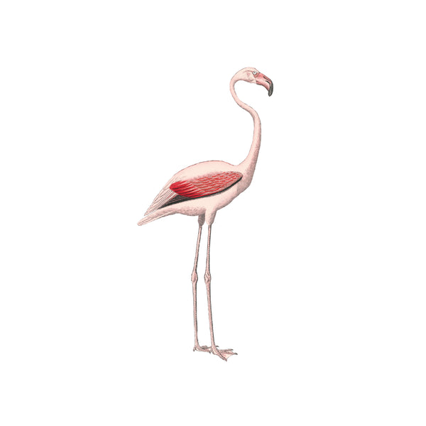Separater Wandaufkleber – Flamingo