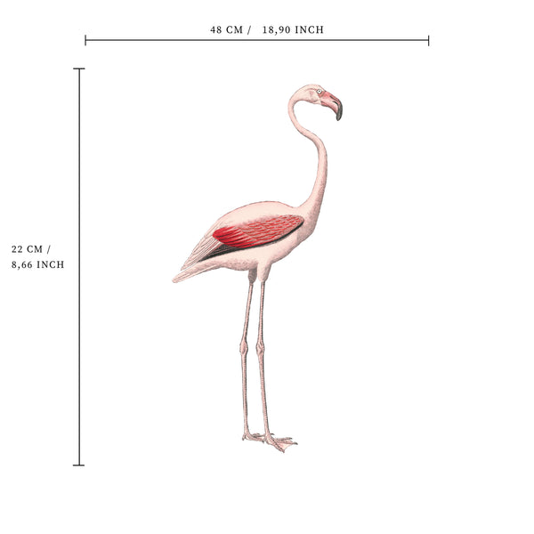 Losse wandsticker - Flamingo