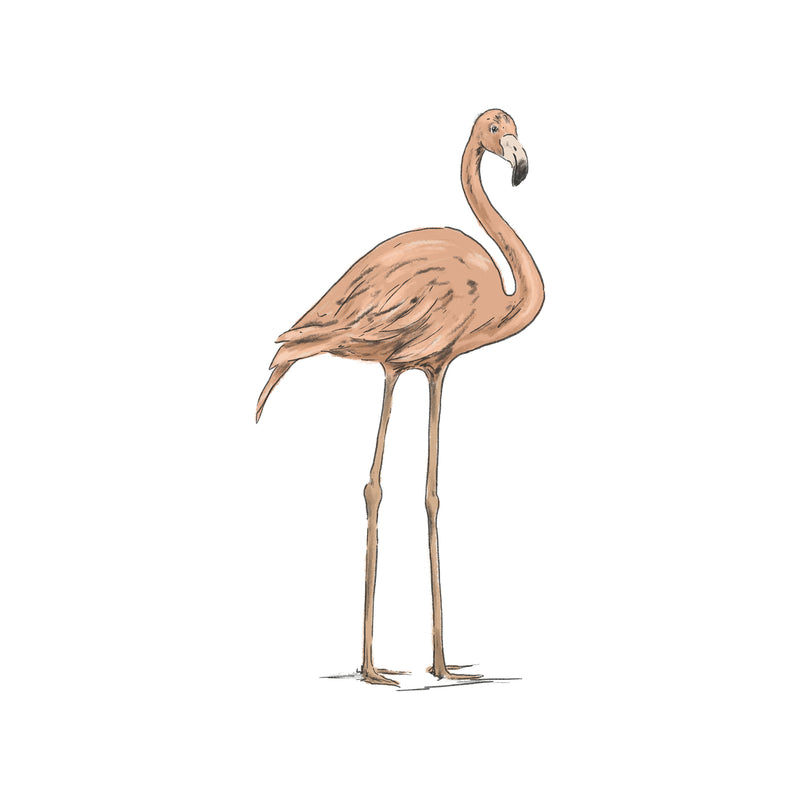 Losse wandsticker - Flamingo Jungle Jazz