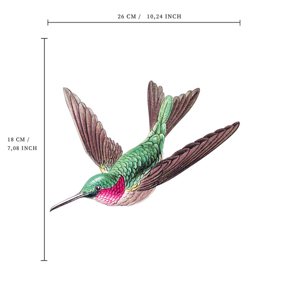 Separater Wandaufkleber – Kolibri grün