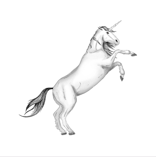 Losse wandsticker - Unicorn groot