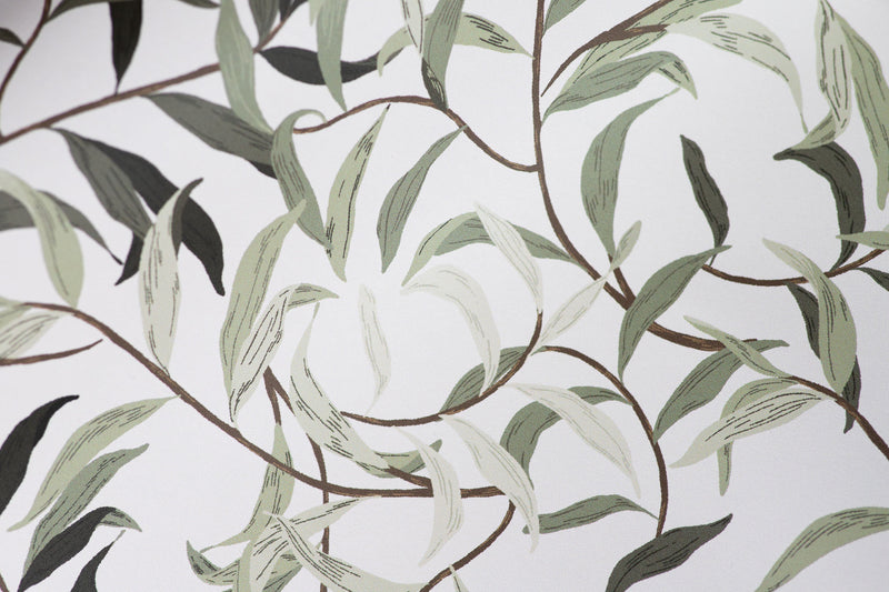 Wallpaper on roll - Lola Leaves