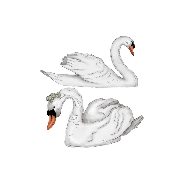 Separate Wall Sticker - Swans