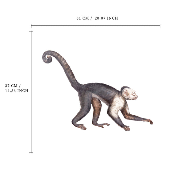 Etiqueta de la pared separada - Mono de la vida silvestre