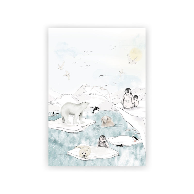 Cartolina - Antarctica