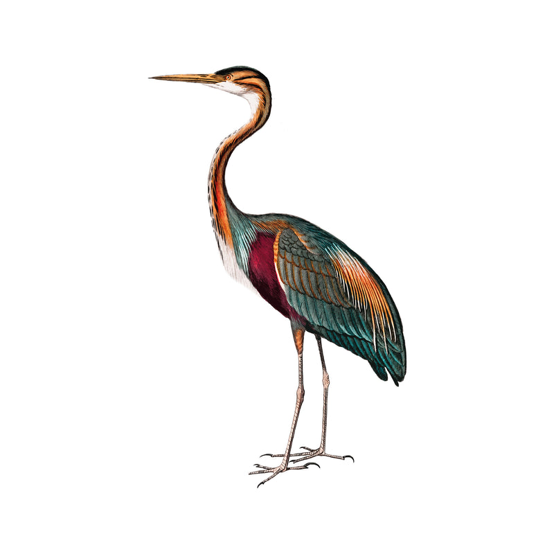 Separate Wall Sticker - Crane bird