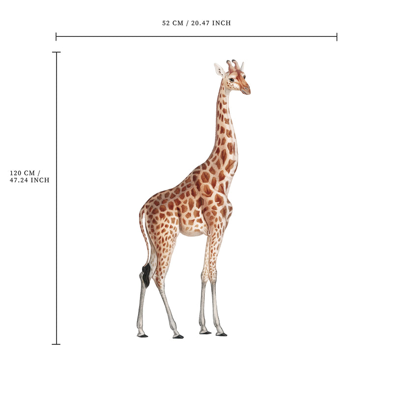 Losse wandsticker - Wildlife Giraffe