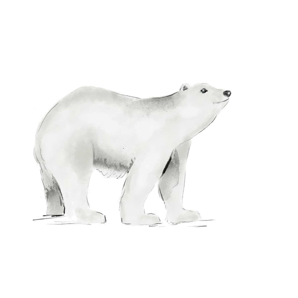 Etiqueta de la pared separada - Oso polar