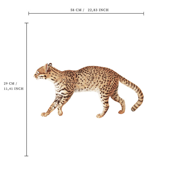 Separater Wandaufkleber – Leoparden-Tierwelt