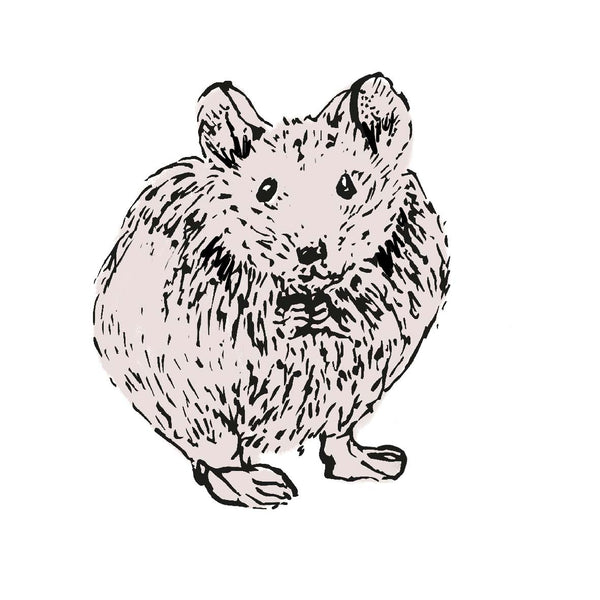 Wandsticker - Muis